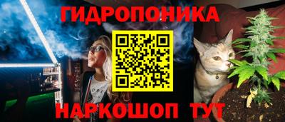 крисы Донской